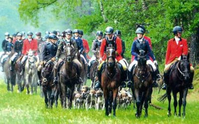 Aus Tradition gewachsen – die Jugend im Blick