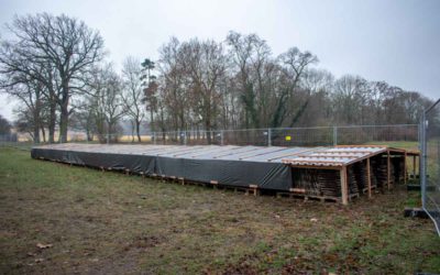 Lagerung der bauzeitlichen Biberschwänze