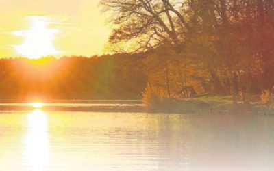 Mittsommer schlägt  die Sternstunde der Gutshäuser