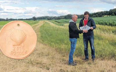 Rund ums Schloss ist beim Broocker Pilgersonntag viel zu entdecken