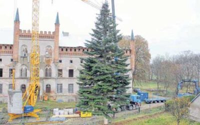 So wurde aus der Schlosstanne ein weihnachtlicher Schwertransport